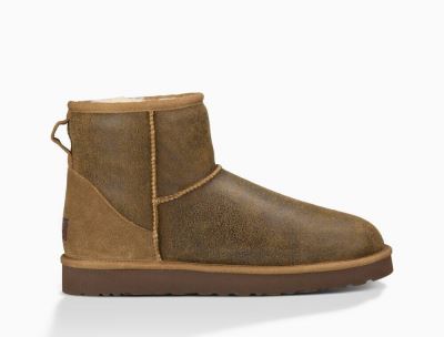 UGG Classic Mini Bomber Boots for Mens - Chestnut/Brown India